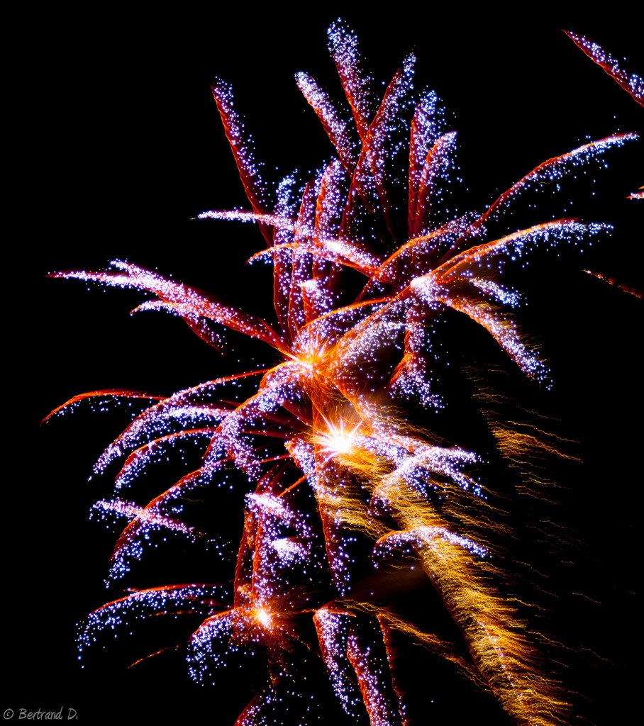 IMG_4096