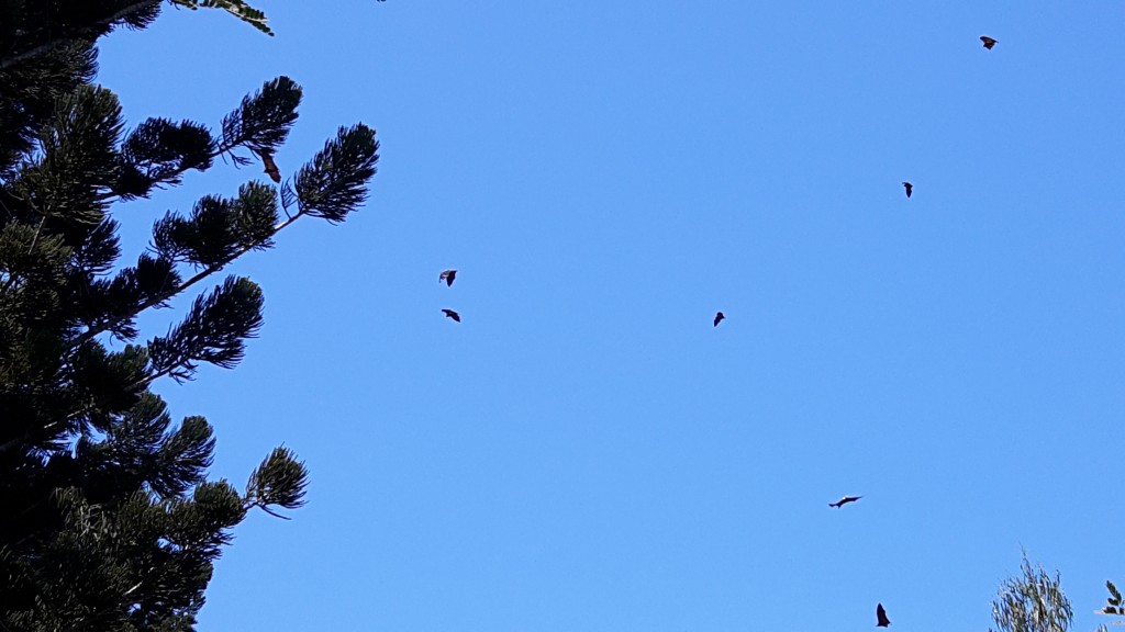 20151017_105724