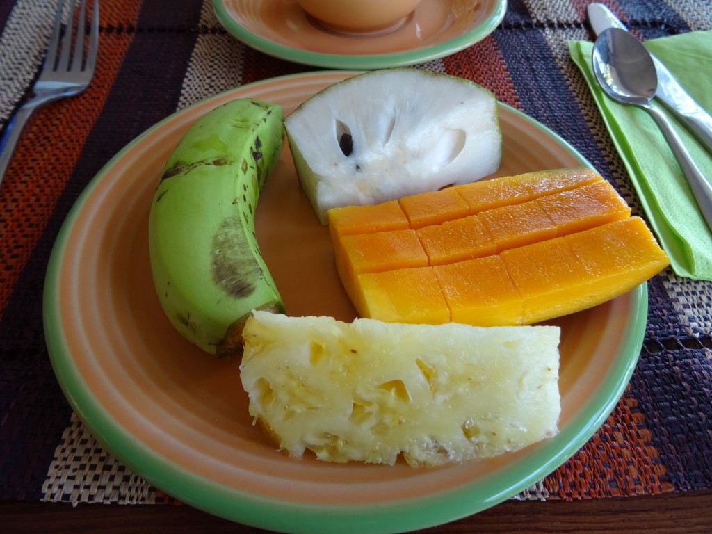 DSC02039