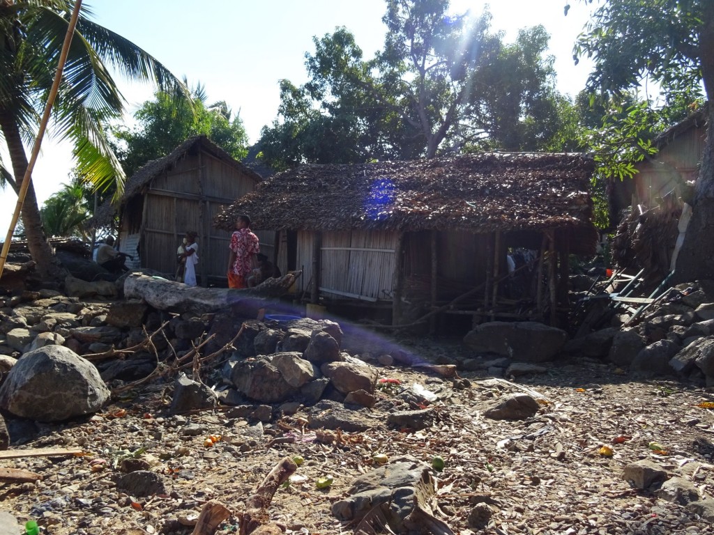 DSC02176