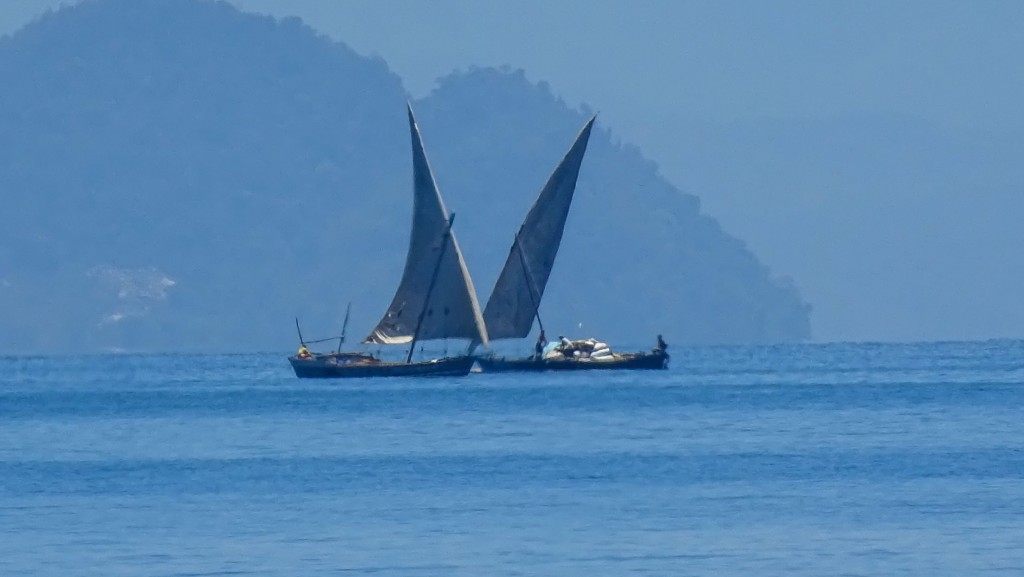 DSC02401