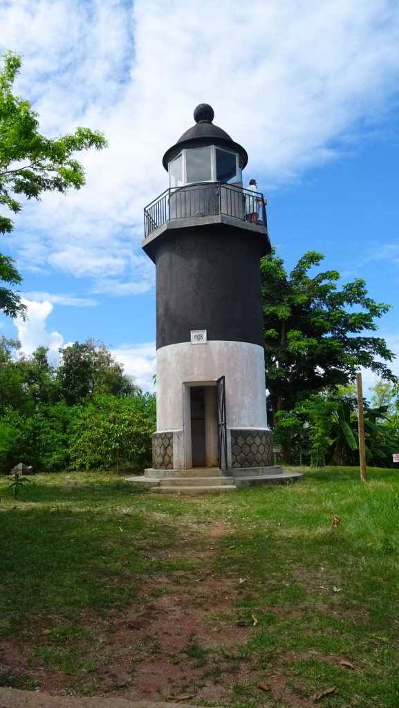 DSC02453