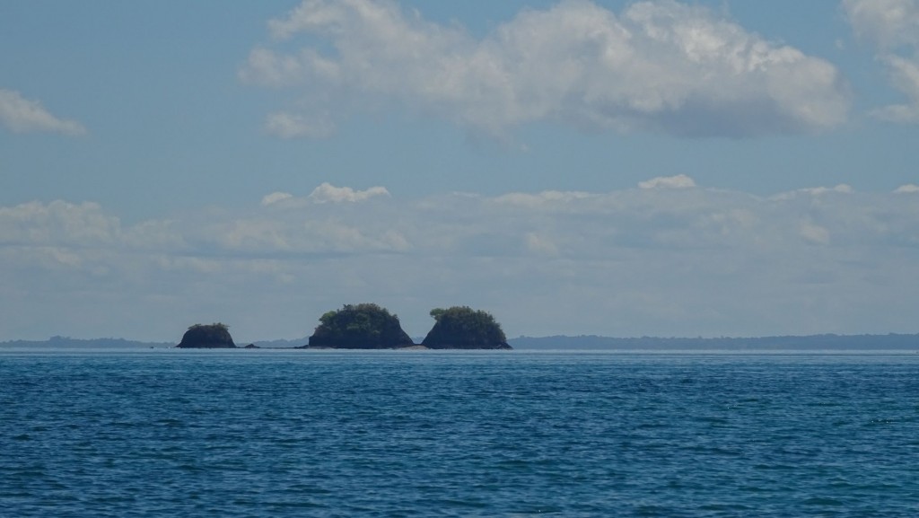 DSC02545