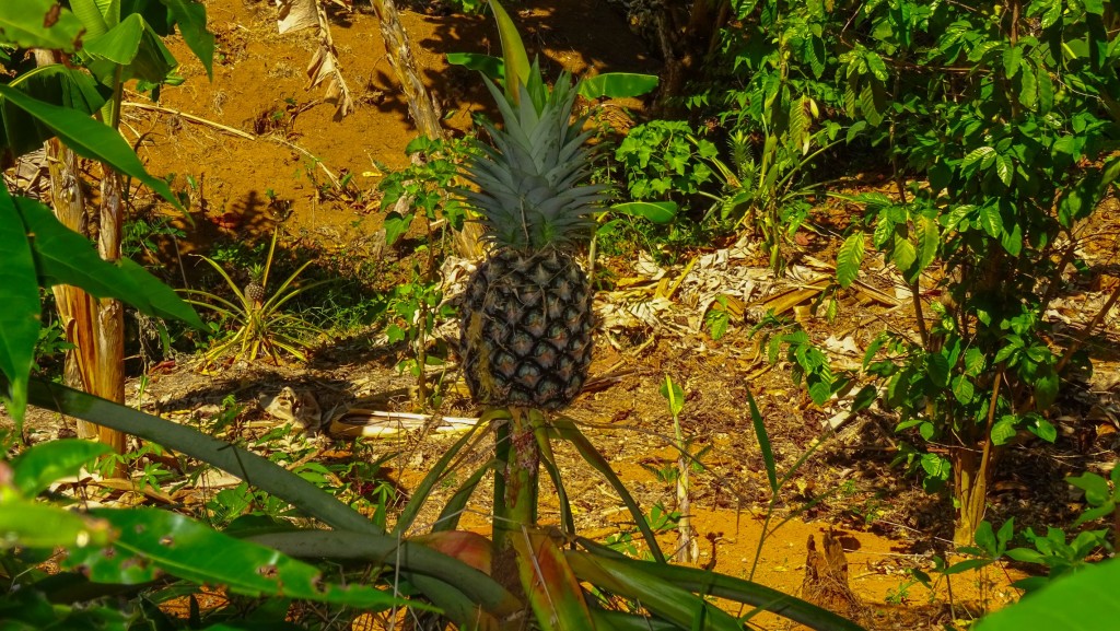 DSC02569