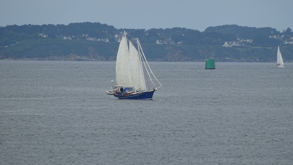 DSC04713