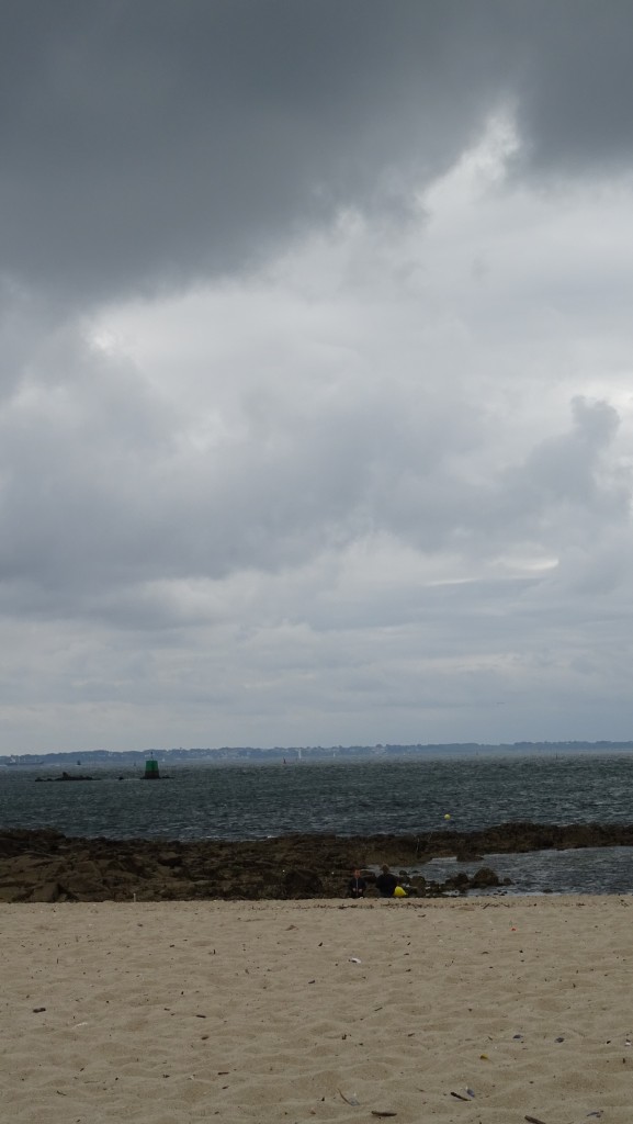 DSC04866