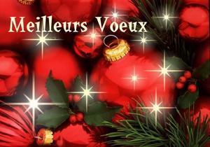 1103893008voeux_01.jpg