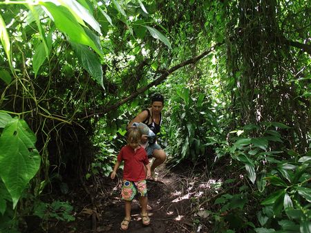 Picture 026-copie-1