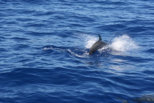 fevrier2011 0925