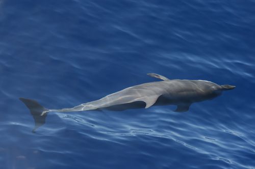 fevrier2011 0938