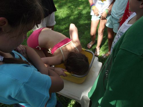 Picture 625