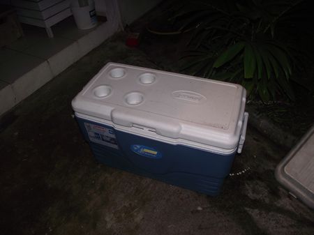 Copy of Picture 004