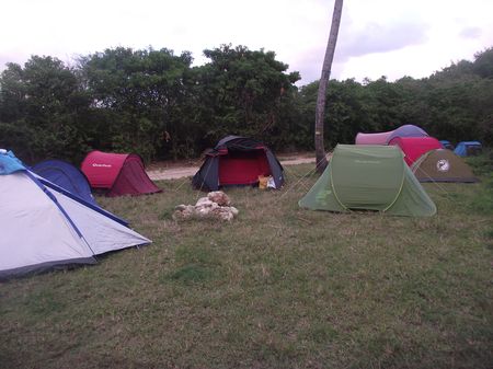 Copy of Picture 008