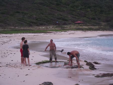 Copy of Picture 014