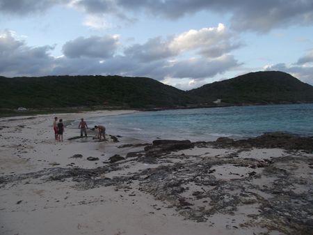 Copy of Picture 015