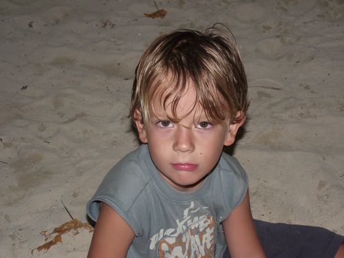 Picture 191