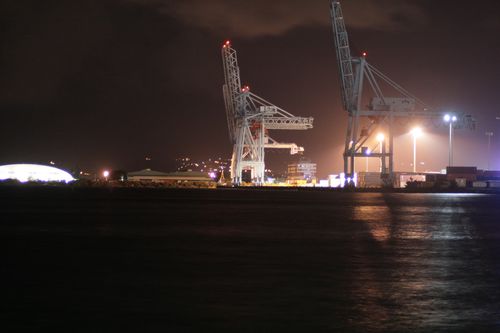 novembre2010 4605