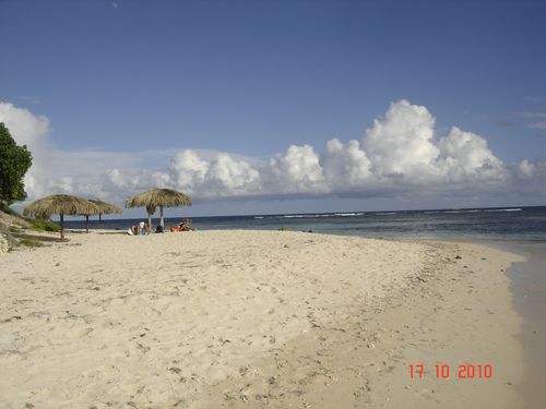 Picture 003