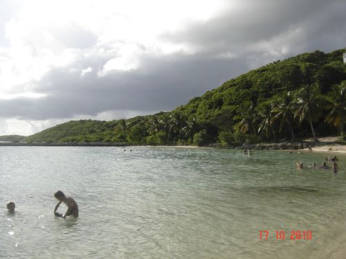 Picture 004