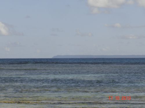 Picture 006