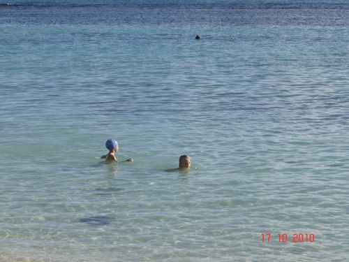 Picture 013