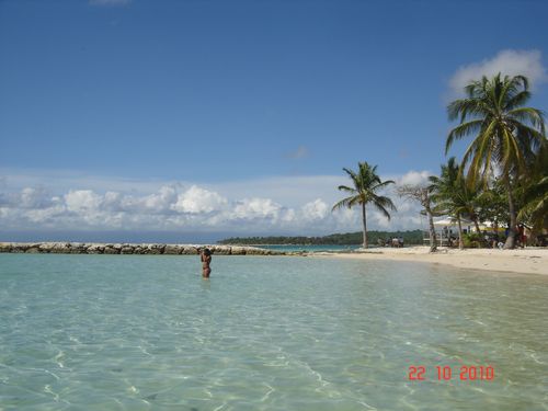 Picture 020