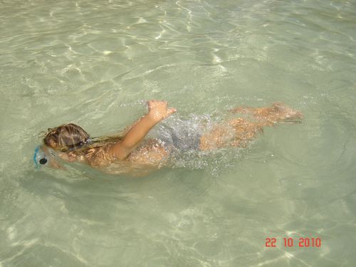 Picture 021