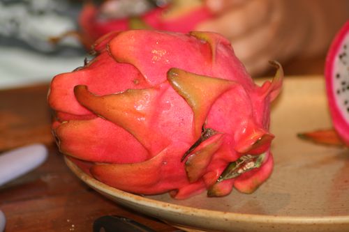 septembre2010 4303