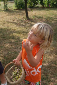 Picture 057