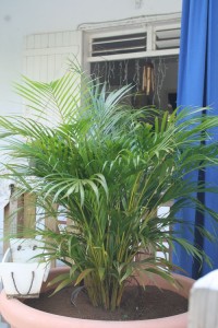 d-cembre2009 9920