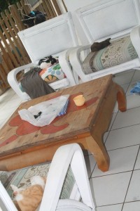 septembre2010 4435