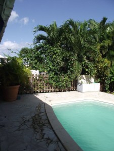 Picture 020