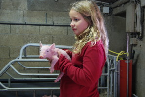 photos 005
