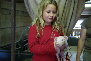 photos 016