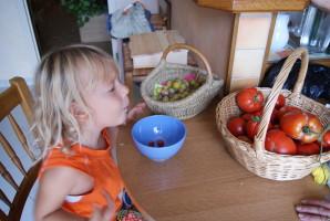 Picture 048