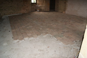 Picture 366