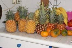 DSC00691