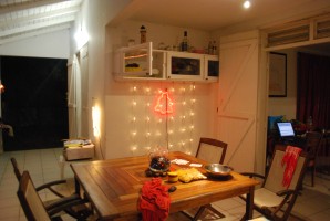 janvier2010 0065