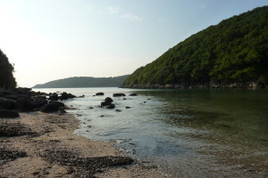 P1040337