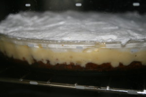 novembre2010 3258