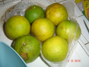 Picture 005