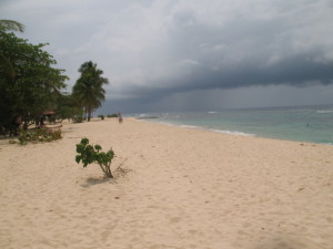 photo 093