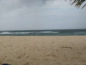 photo 098