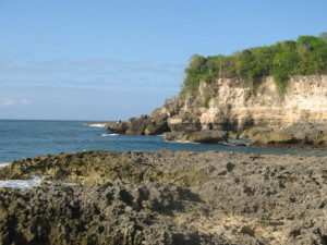 photo 101-copie-1