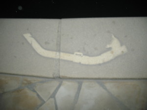photo 007