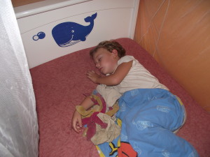 Picture 215
