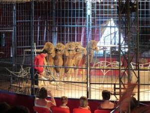 janvier2010 1059