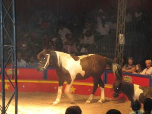 janvier2010 1126