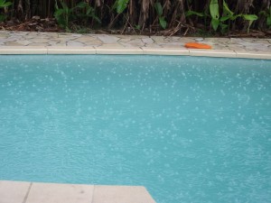 Picture 003