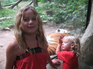 Picture 091